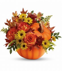 Teleflora's Warm Fall Wishes Bouquet from Backstage Florist in Richardson, Texas